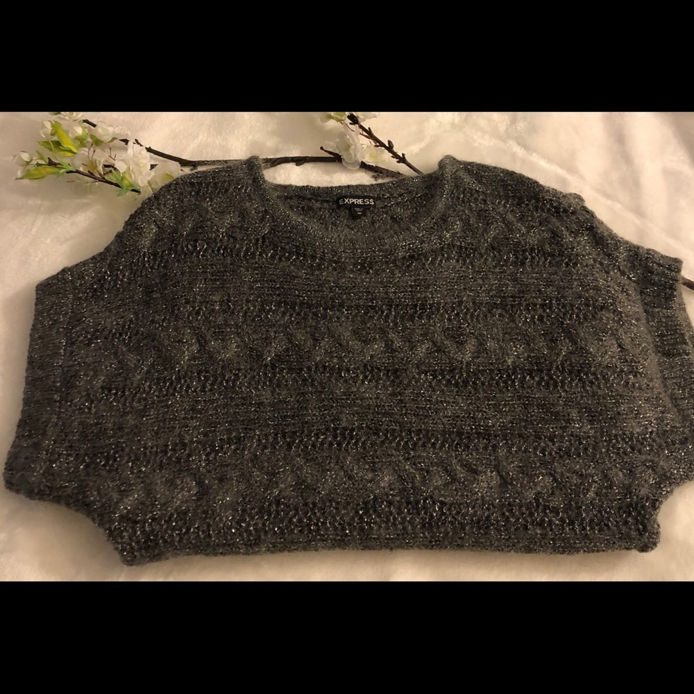 EXPRESS SWEATER - Picture 4 of 5